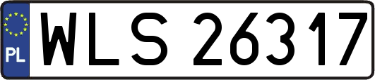 WLS26317