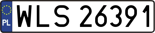 WLS26391