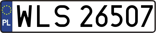 WLS26507