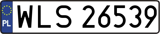 WLS26539