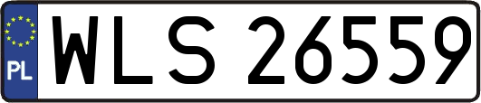 WLS26559