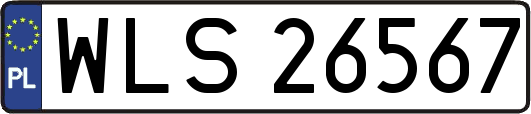 WLS26567