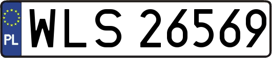 WLS26569
