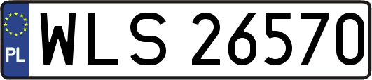 WLS26570