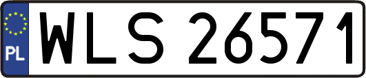 WLS26571