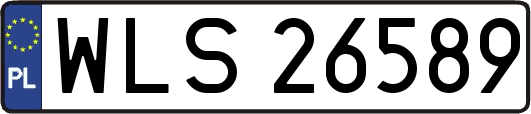 WLS26589