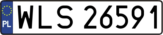 WLS26591