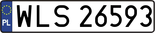 WLS26593