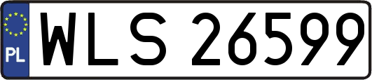 WLS26599
