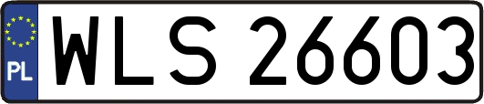WLS26603
