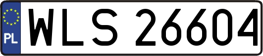 WLS26604