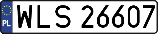 WLS26607