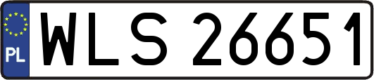 WLS26651