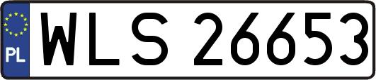 WLS26653