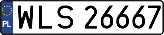 WLS26667