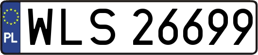 WLS26699