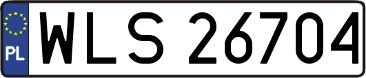 WLS26704