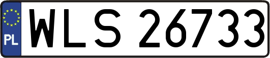 WLS26733