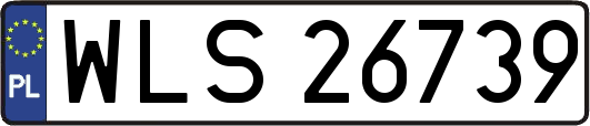 WLS26739