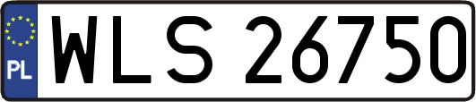 WLS26750