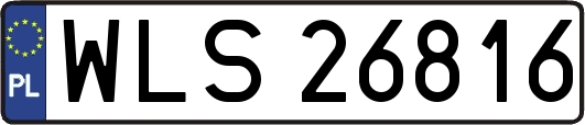 WLS26816
