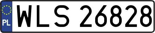 WLS26828