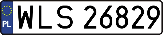 WLS26829