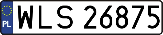 WLS26875