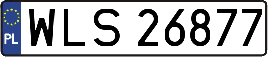 WLS26877