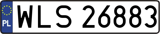 WLS26883