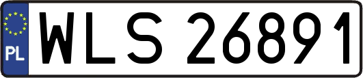 WLS26891