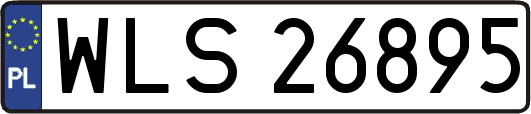 WLS26895