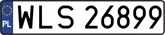WLS26899