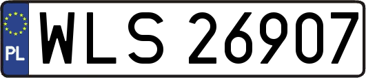 WLS26907