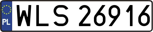 WLS26916