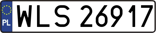 WLS26917