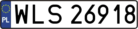WLS26918