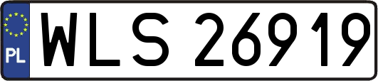 WLS26919