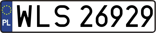 WLS26929