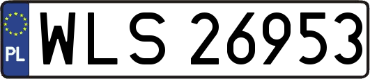 WLS26953