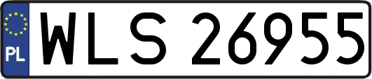 WLS26955
