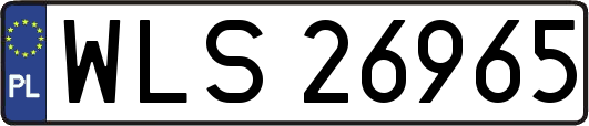 WLS26965