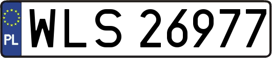 WLS26977