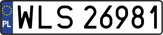WLS26981