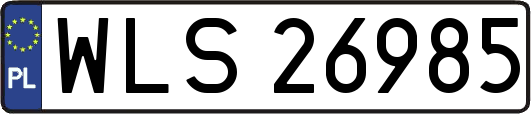 WLS26985
