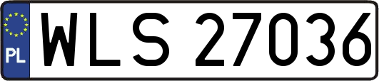 WLS27036