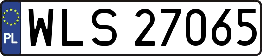 WLS27065