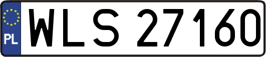 WLS27160