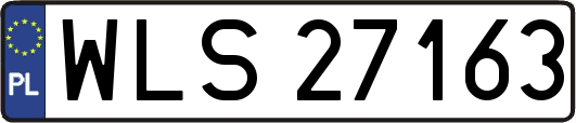 WLS27163