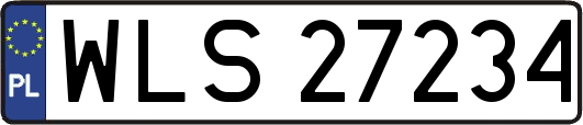 WLS27234